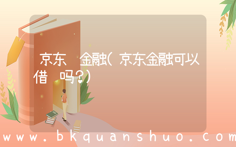 京东 金融(京东金融可以借钱吗？)